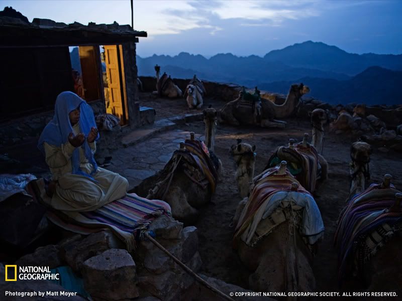 mount-sinai-prayer-1203325-sw.jpg