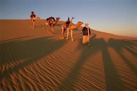 photo_lg_libya-1.jpg