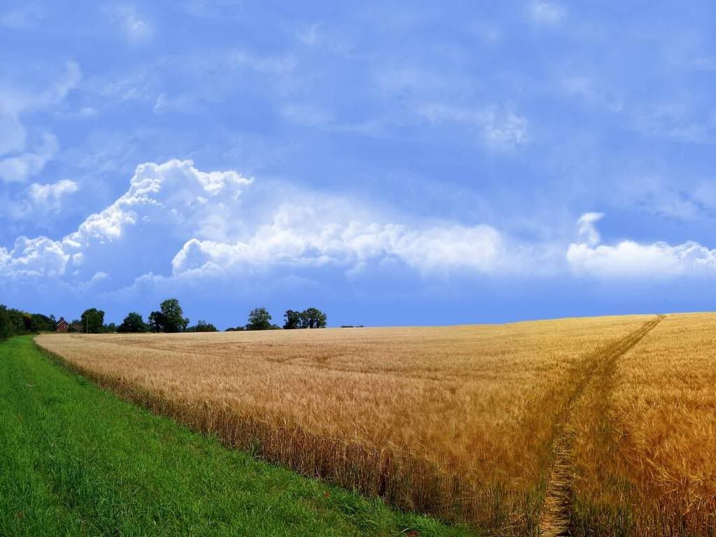 wallnature_pack2_11.jpg