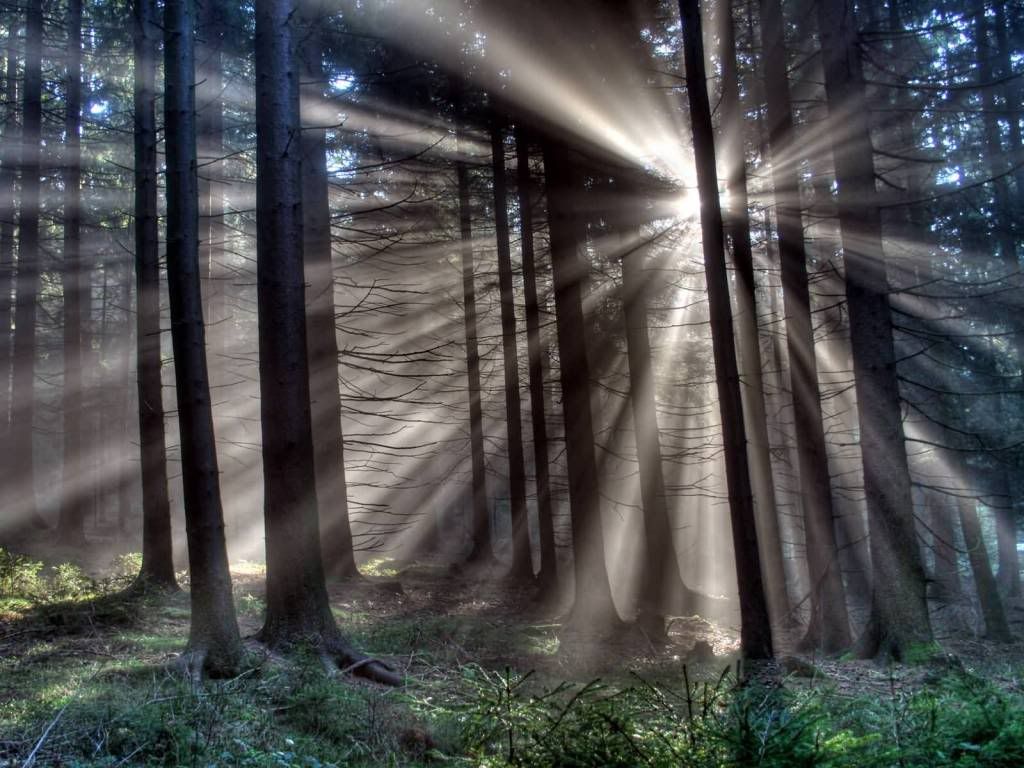 wallnature_pack2_12.jpg