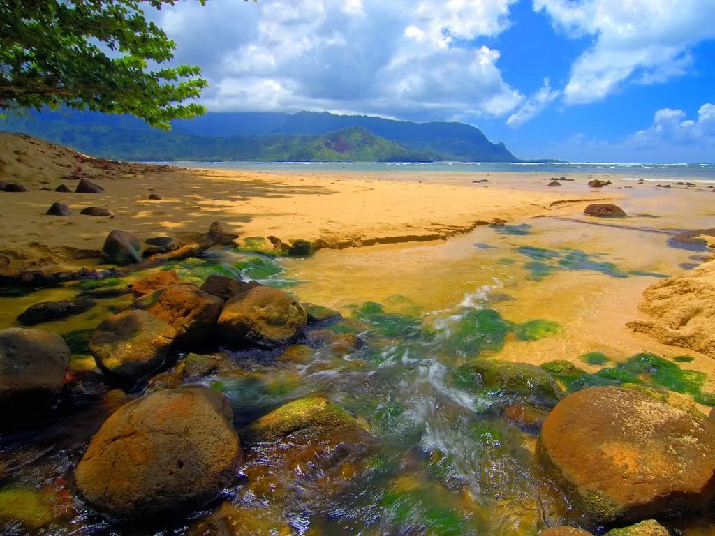 wallnature_pack2_14.jpg