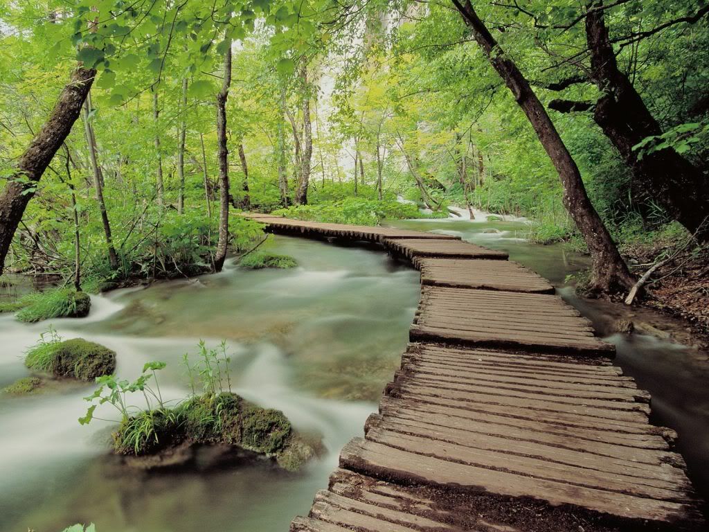 wallnature_pack2_15.jpg