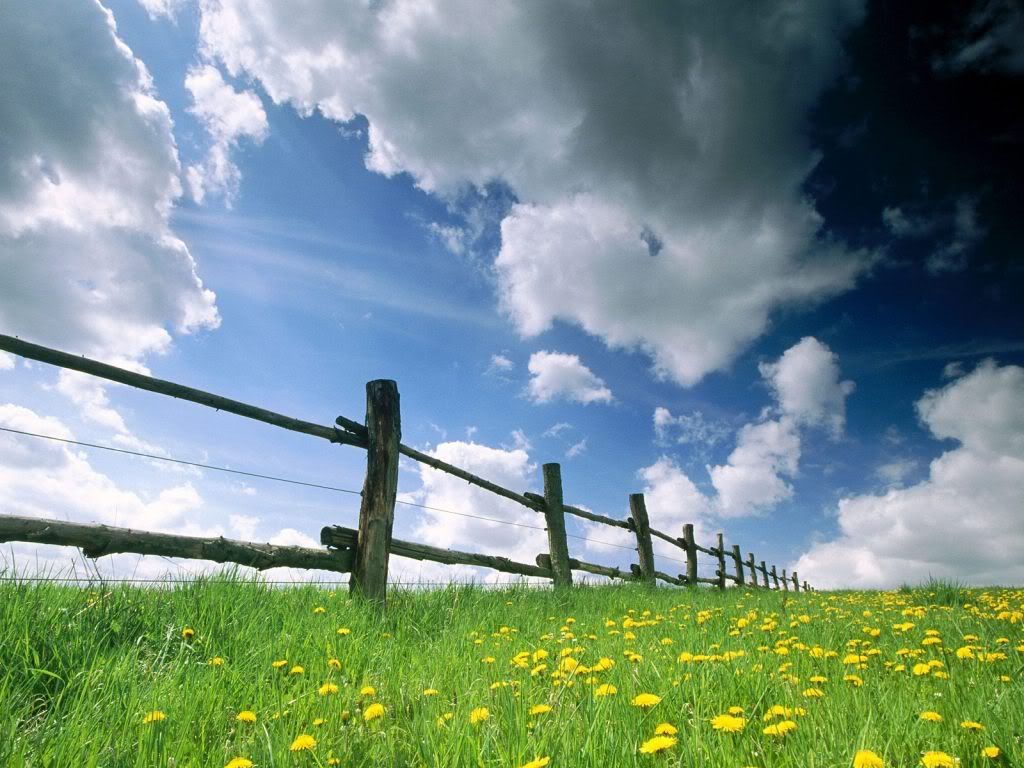 wallnature_pack2_16.jpg