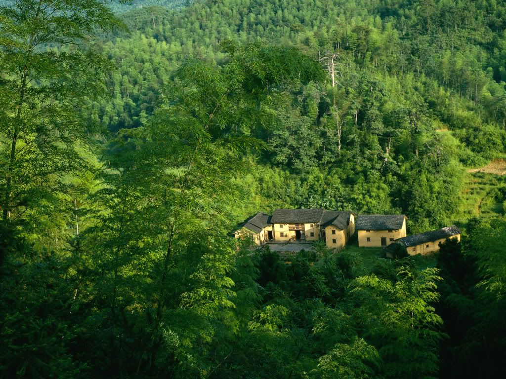 wallnature_pack2_20.jpg