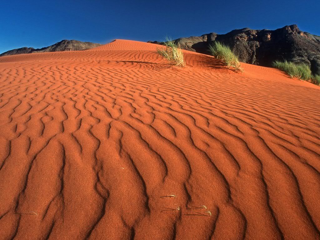 wallnature_pack2_30.jpg