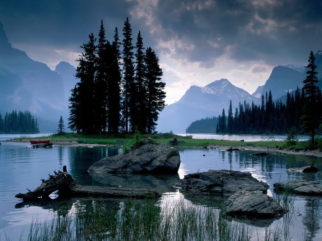 wallnature_pack2_33.jpg
