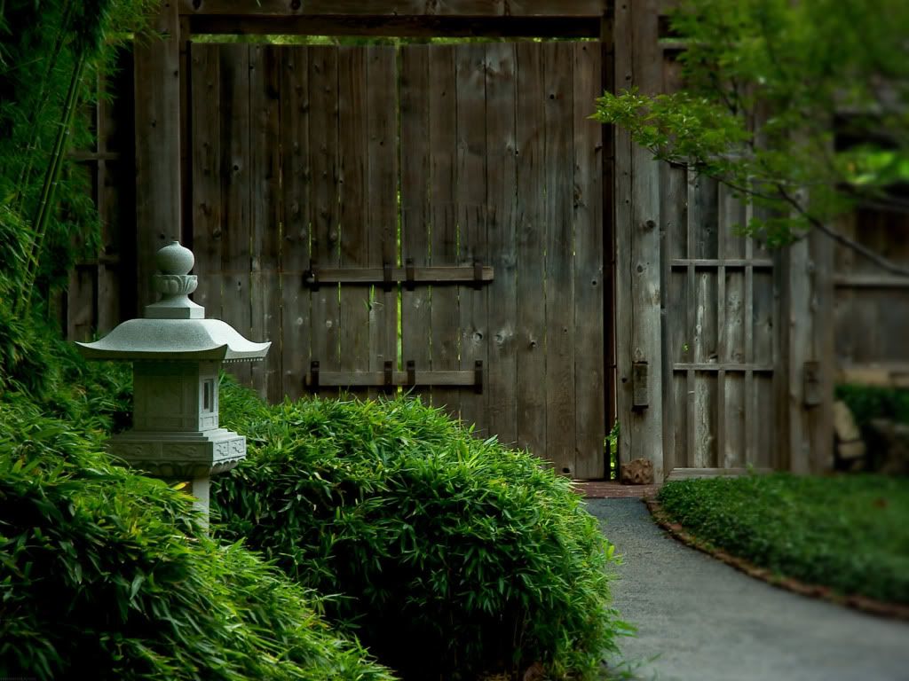 wallnature_pack2_4.jpg