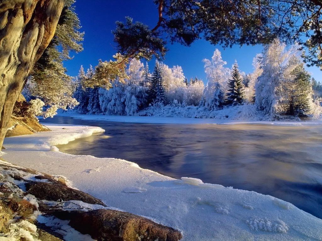 wallnature_pack2_7.jpg
