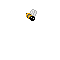 Bee Heart