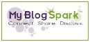 Blog Search