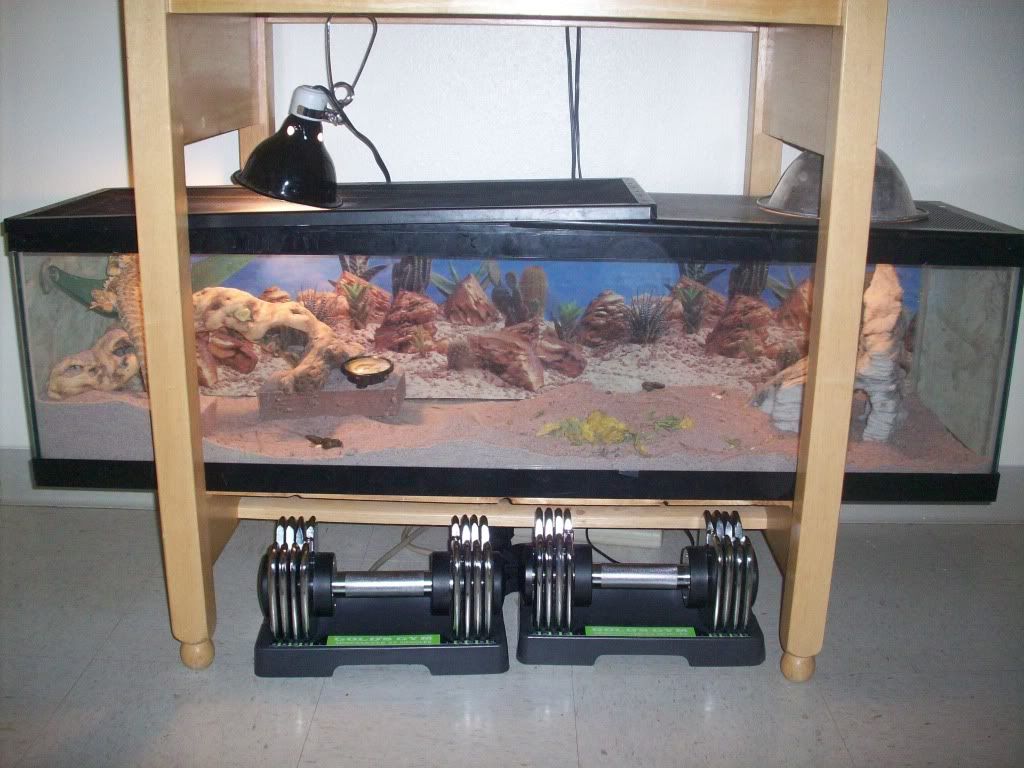 Exo Terra Terrarium Aquarium Stand Lets see some exo terras page