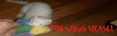 banner2a-1.jpg