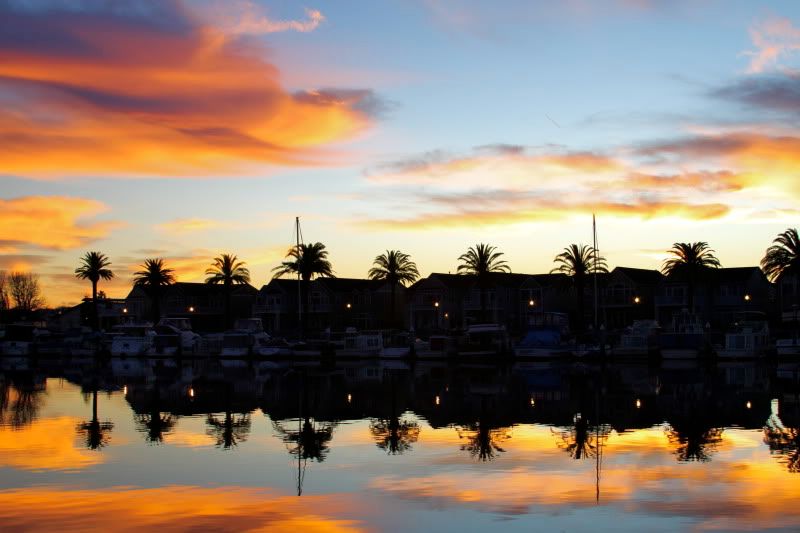 IMAGE: http://i656.photobucket.com/albums/uu288/rmitchell248/IMG_0864_2_2.jpg