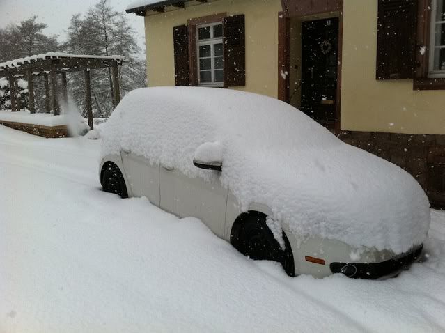 IMAGE: http://i656.photobucket.com/albums/uu288/rmitchell248/IMG_12362.jpg