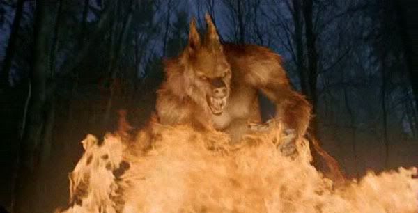 De nombreux dangers , tel ce loup-garou , guettent les héros de Van Helsing /Van_Helsing_030.jpg