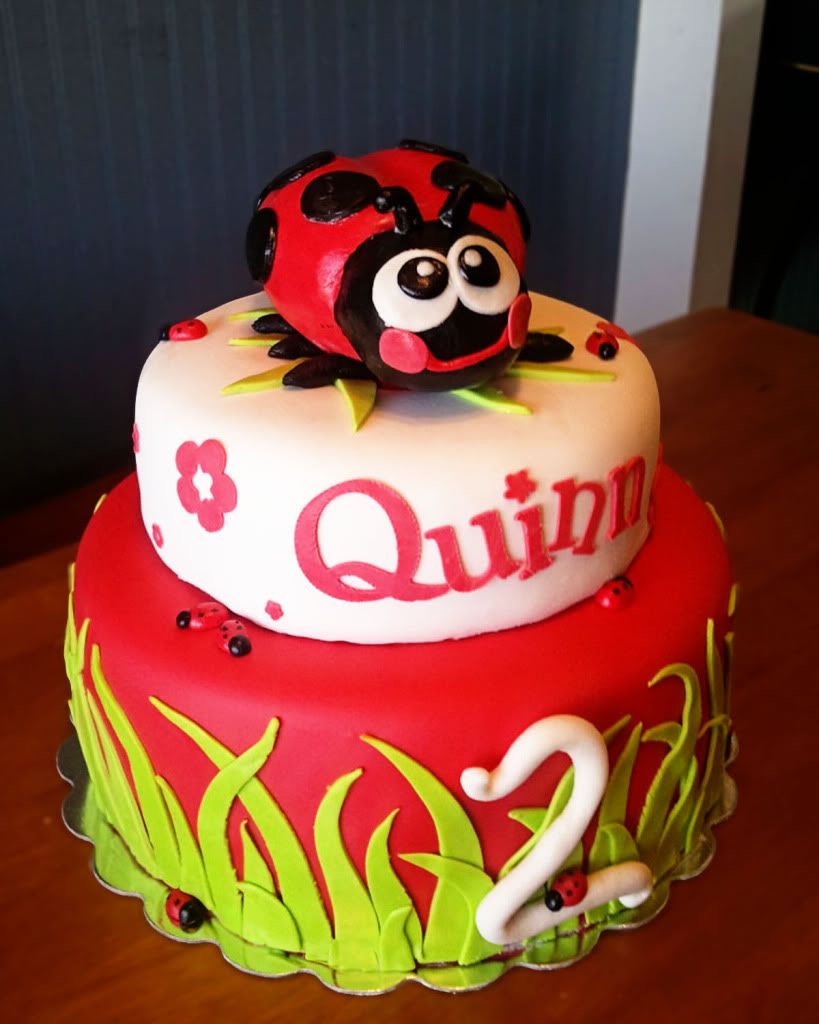 Ladybug Cake