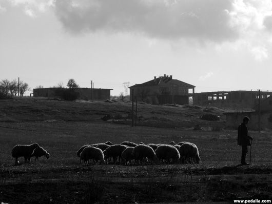 Kaymaklı Fotoğraf: Feyyaz ALAÇAM