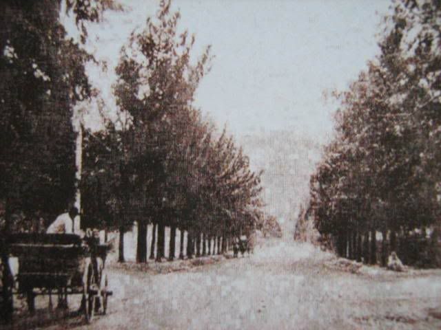 Recuerdos de mi Tucumán -Megapost- Recuerdos de mi Tucumán -Megapost-