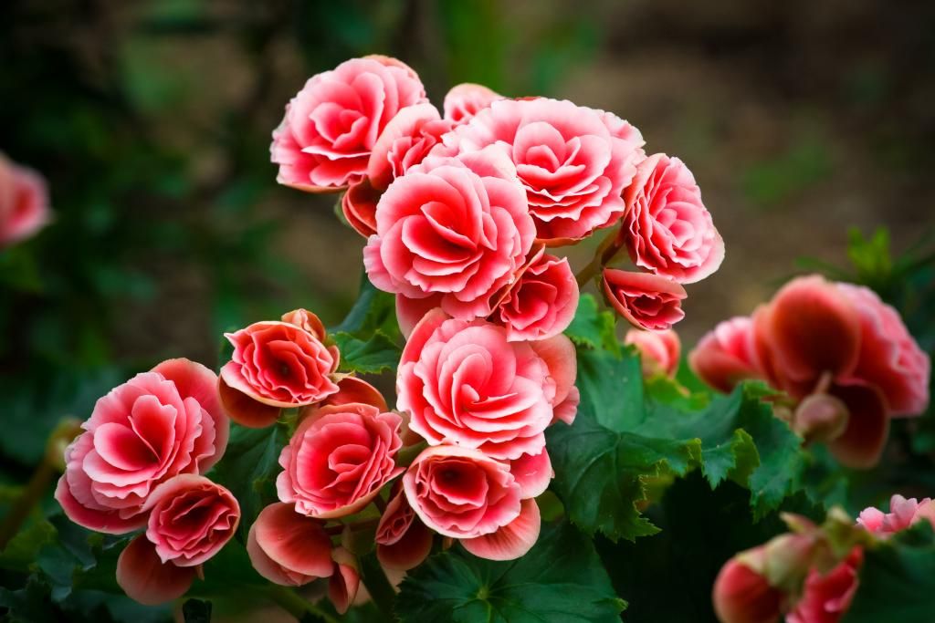8D0Q7293-1.jpg