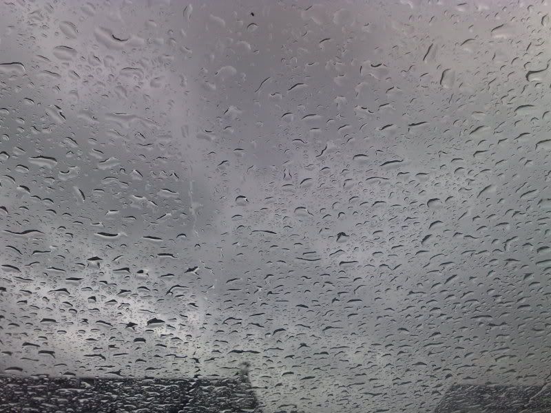 09042009141.jpg