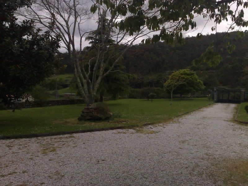 11042009161.jpg