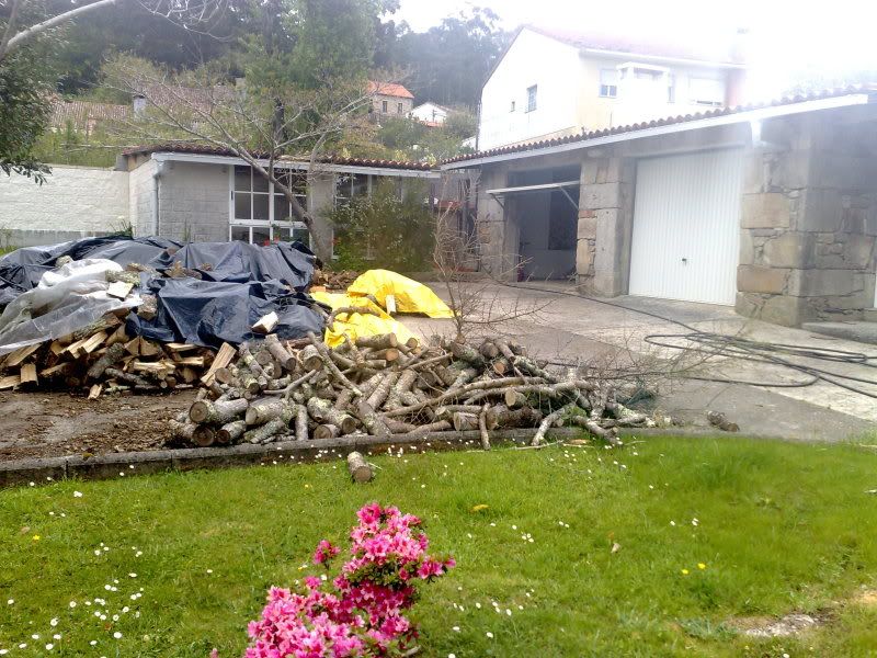 11042009166.jpg
