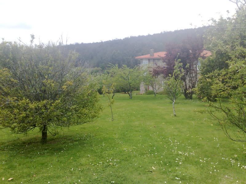 11042009167.jpg