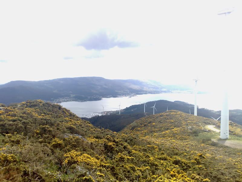 11042009176.jpg